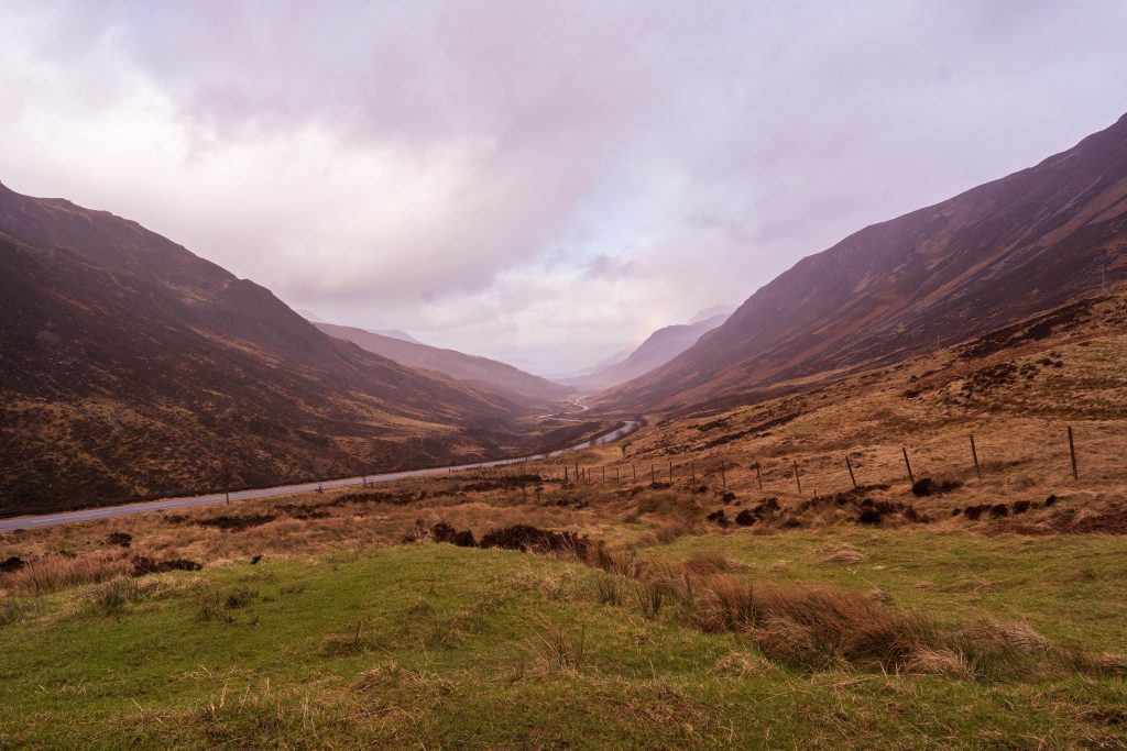 Road winding through a valley covered in green grass and purple heather. view from Glen Docherty Viewpoint