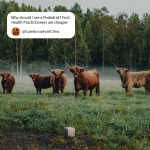 Highland coos stood in a misty field asking, "why should I see a podiatrist? Health practitioners are cheaper"